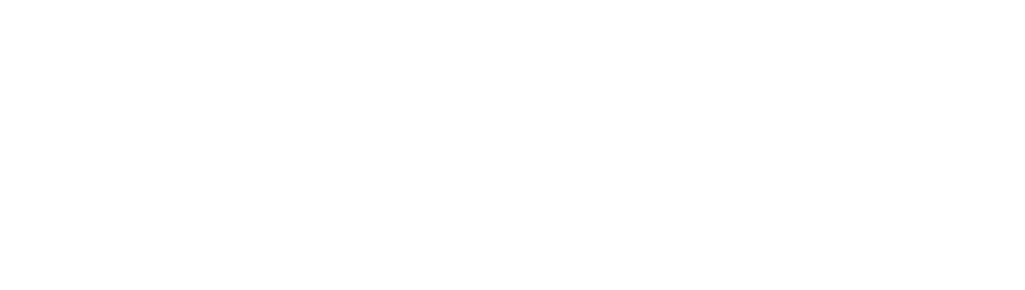 Softideia